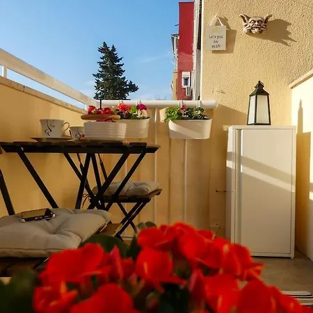 My Splity Nest * Split