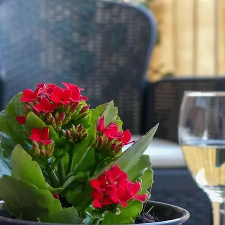 My Splity Nest * Σπλιτ