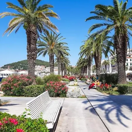 My Splity Nest Σπλιτ