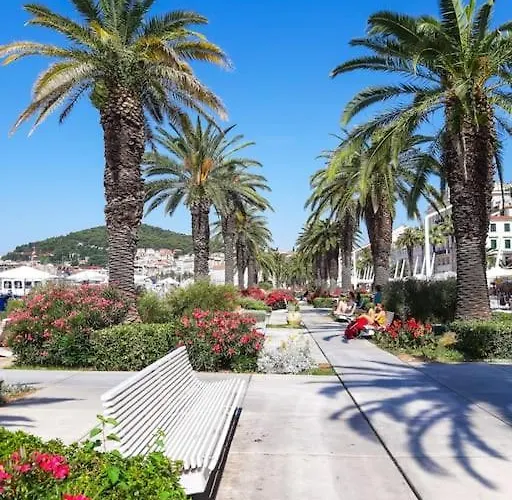 My Splity Nest Split