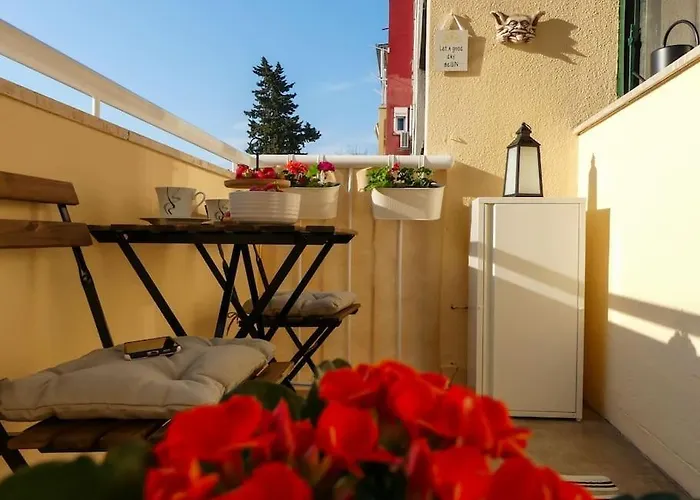 My Splity Nest * 斯普利特