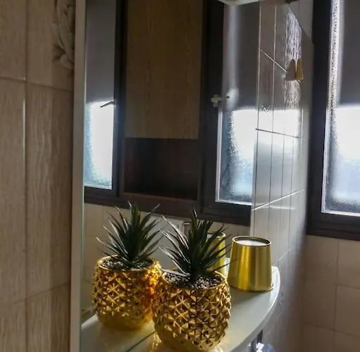 My Splity Nest 斯普利特